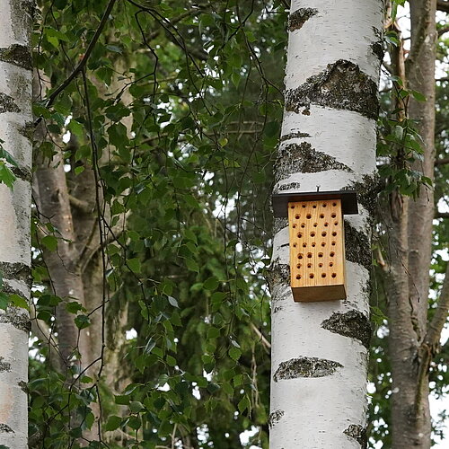 Insektenhotel_Kampf_Klein.JPG